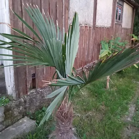 Maison De Campagne *